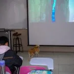 中國文化大學/台北士林 24 - Travel of Rice 小米遊記 中國文化大學/台北士林 24 - Travel of Rice 小米遊記