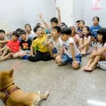 上碩文理補習班/台南永康 28 - Travel of Rice 小米遊記 上碩文理補習班/台南永康 28 - Travel of Rice 小米遊記