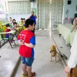 東寧國小/屏東內埔 38 - Travel of Rice 小米遊記 東寧國小/屏東內埔 38 - Travel of Rice 小米遊記