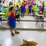 東寧國小/屏東內埔 39 - Travel of Rice 小米遊記 東寧國小/屏東內埔 39 - Travel of Rice 小米遊記