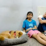 上碩文理補習班/台南永康 32 - Travel of Rice 小米遊記 上碩文理補習班/台南永康 32 - Travel of Rice 小米遊記