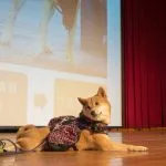 集美國小/新北三重 66 - Travel of Rice 小米遊記 集美國小/新北三重 65 - Travel of Rice 小米遊記