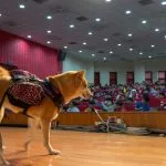 集美國小/新北三重 67 - Travel of Rice 小米遊記 集美國小/新北三重 66 - Travel of Rice 小米遊記