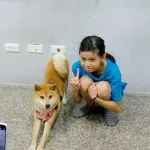 上碩文理補習班/台南永康 37 - Travel of Rice 小米遊記 上碩文理補習班/台南永康 37 - Travel of Rice 小米遊記