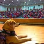 集美國小/新北三重 69 - Travel of Rice 小米遊記 集美國小/新北三重 68 - Travel of Rice 小米遊記