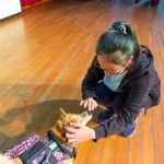 集美國小/新北三重 70 - Travel of Rice 小米遊記 集美國小/新北三重 69 - Travel of Rice 小米遊記