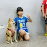 上碩文理補習班/台南永康 39 - Travel of Rice 小米遊記 上碩文理補習班/台南永康 39 - Travel of Rice 小米遊記