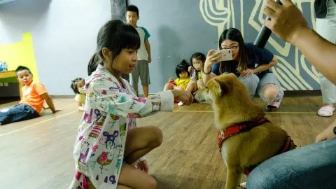 小布朗尼小學堂／金門金城 29 - Travel of Rice 小米遊記