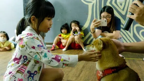 小布朗尼小學堂／金門金城 30 - Travel of Rice 小米遊記