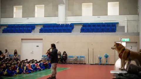 錦興國小/桃園蘆竹 27 - Travel of Rice 小米遊記 錦興國小/桃園蘆竹 27 - Travel of Rice 小米遊記