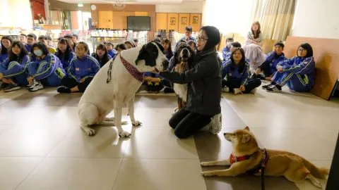 文昌國中/桃園市 22 - Travel of Rice 小米遊記 文昌國中/桃園市 22 - Travel of Rice 小米遊記