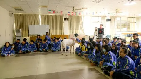 文昌國中/桃園市 24 - Travel of Rice 小米遊記 文昌國中/桃園市 24 - Travel of Rice 小米遊記