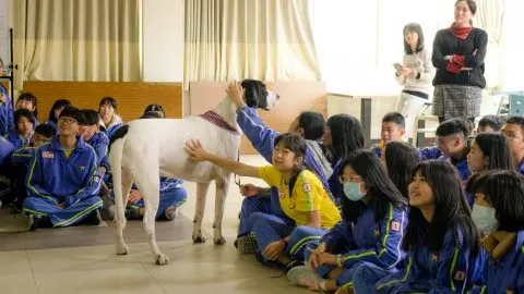 文昌國中/桃園市 25 - Travel of Rice 小米遊記 文昌國中/桃園市 25 - Travel of Rice 小米遊記