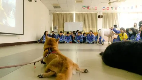 文昌國中/桃園市 26 - Travel of Rice 小米遊記 文昌國中/桃園市 26 - Travel of Rice 小米遊記