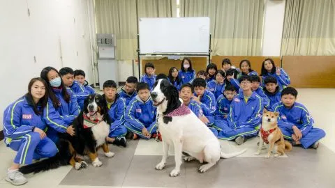 文昌國中/桃園市 29 - Travel of Rice 小米遊記 文昌國中/桃園市 29 - Travel of Rice 小米遊記