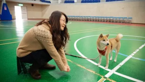 錦興國小/桃園蘆竹 30 - Travel of Rice 小米遊記 錦興國小/桃園蘆竹 30 - Travel of Rice 小米遊記