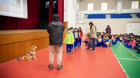 錦興國小/桃園蘆竹 33 - Travel of Rice 小米遊記 錦興國小/桃園蘆竹 33 - Travel of Rice 小米遊記