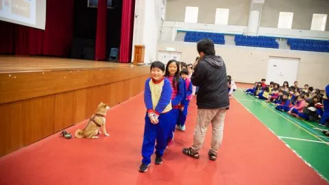 錦興國小/桃園蘆竹 34 - Travel of Rice 小米遊記 錦興國小/桃園蘆竹 34 - Travel of Rice 小米遊記