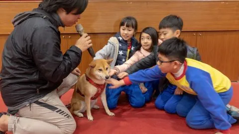 錦興國小/桃園蘆竹 36 - Travel of Rice 小米遊記 錦興國小/桃園蘆竹 36 - Travel of Rice 小米遊記