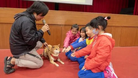 錦興國小/桃園蘆竹 37 - Travel of Rice 小米遊記 錦興國小/桃園蘆竹 37 - Travel of Rice 小米遊記