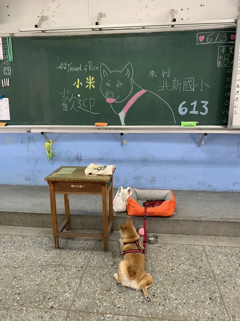 北新國小／新北新店 36 - Travel of Rice 小米遊記