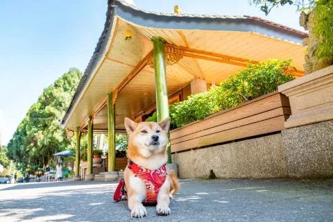 這處供奉著彌勒佛，後方有一些攤販可以購買當地特產。
