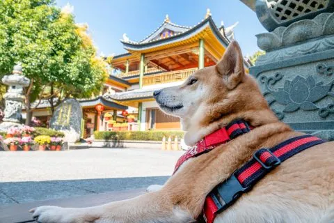 我們先看看雲山別院吧。