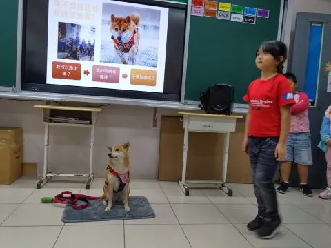 仁愛國小/馬祖南竿 35 - Travel of Rice 小米遊記 仁愛國小/馬祖南竿 35 - Travel of Rice 小米遊記