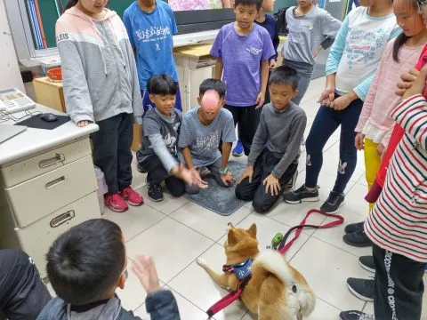 仁愛國小/馬祖南竿 39 - Travel of Rice 小米遊記 仁愛國小/馬祖南竿 39 - Travel of Rice 小米遊記