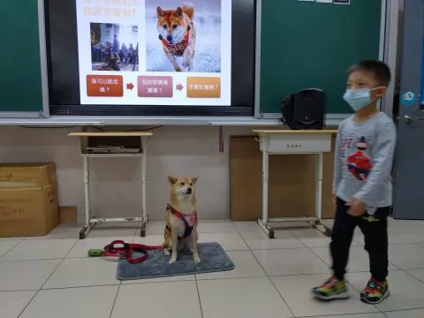 仁愛國小/馬祖南竿 34 - Travel of Rice 小米遊記 仁愛國小/馬祖南竿 34 - Travel of Rice 小米遊記