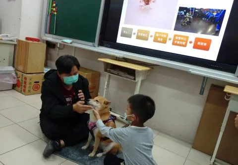 仁愛國小/馬祖南竿 37 - Travel of Rice 小米遊記 仁愛國小/馬祖南竿 37 - Travel of Rice 小米遊記