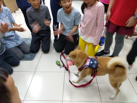 仁愛國小/馬祖南竿 40 - Travel of Rice 小米遊記 仁愛國小/馬祖南竿 40 - Travel of Rice 小米遊記