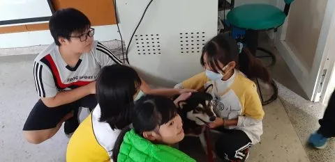 石泉國小/澎湖馬公 29 - Travel of Rice 小米遊記 石泉國小/澎湖馬公 29 - Travel of Rice 小米遊記