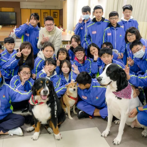 校犬計畫潛藏危機 2：從各專業者的角度 4 - Travel of Rice 小米遊記