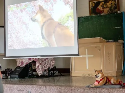 小琉球／屏東琉球 35 - Travel of Rice 小米遊記