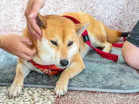 小琉球／屏東琉球 47 - Travel of Rice 小米遊記