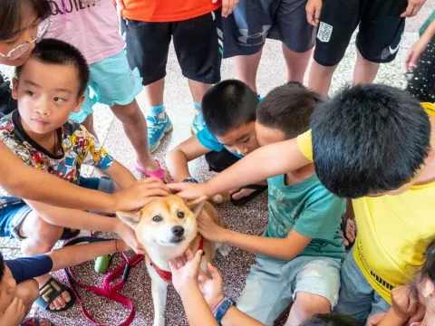 小琉球／屏東琉球 51 - Travel of Rice 小米遊記
