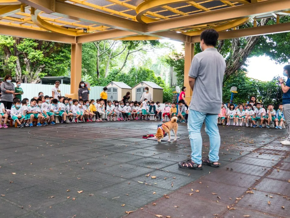 臺北大學附設實驗國小附設幼兒園／台北中正 31 - Travel of Rice 小米遊記