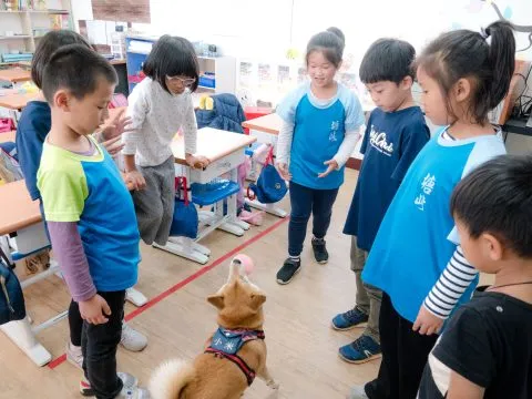塘岐國小/馬祖北竿 30 - Travel of Rice 小米遊記 塘岐國小/馬祖北竿 30 - Travel of Rice 小米遊記
