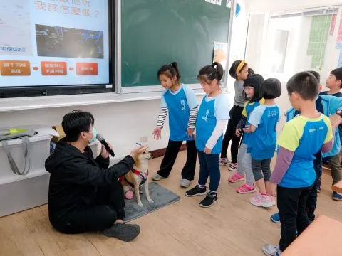 塘岐國小/馬祖北竿 31 - Travel of Rice 小米遊記 塘岐國小/馬祖北竿 31 - Travel of Rice 小米遊記