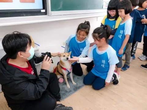 塘岐國小/馬祖北竿 33 - Travel of Rice 小米遊記 塘岐國小/馬祖北竿 33 - Travel of Rice 小米遊記