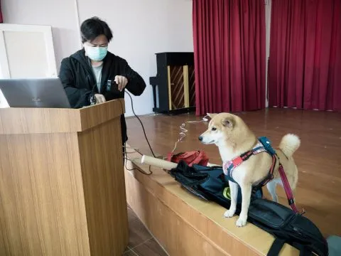 湖西國小／澎湖湖西 26 - Travel of Rice 小米遊記