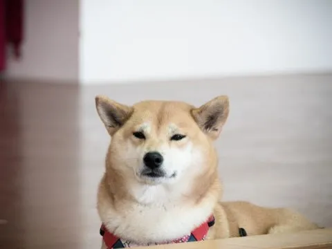 湖西國小／澎湖湖西 29 - Travel of Rice 小米遊記