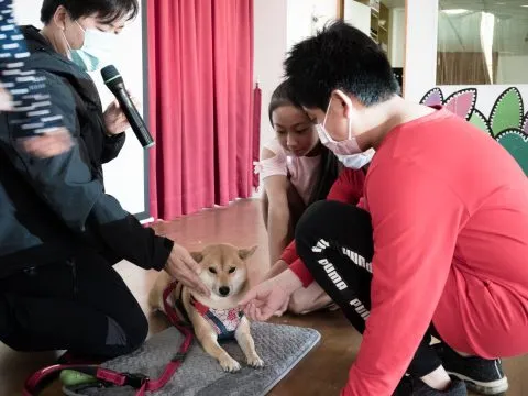 湖西國小／澎湖湖西 36 - Travel of Rice 小米遊記