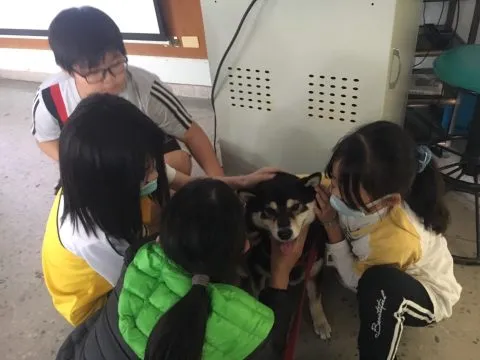 石泉國小/澎湖馬公 32 - Travel of Rice 小米遊記 石泉國小/澎湖馬公 32 - Travel of Rice 小米遊記