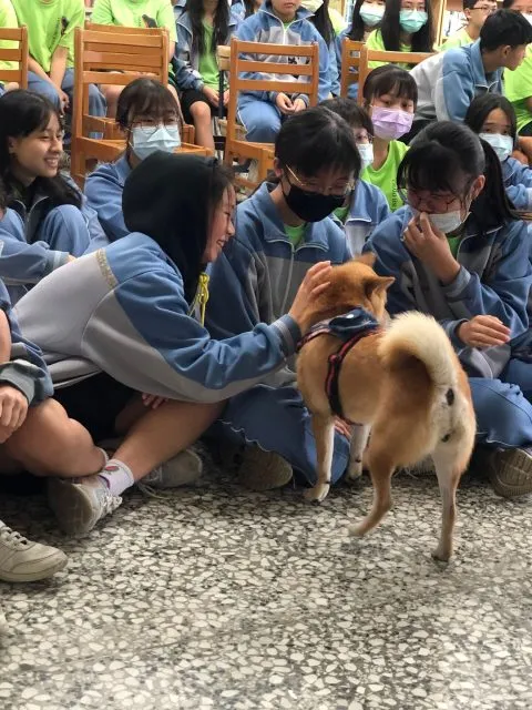 礁溪國中/宜蘭礁溪 59 - Travel of Rice 小米遊記 礁溪國中/宜蘭礁溪 59 - Travel of Rice 小米遊記