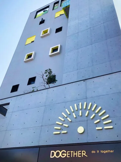 Dogether Hotel 多野樂旅館 38 - Travel of Rice 小米遊記