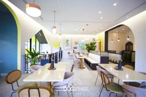 Dogether Hotel 多野樂旅館 40 - Travel of Rice 小米遊記