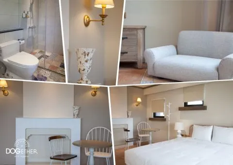 Dogether Hotel 多野樂旅館 43 - Travel of Rice 小米遊記