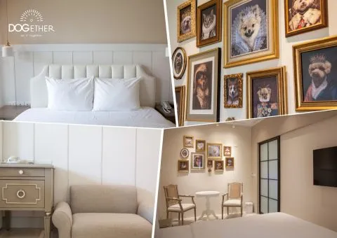 Dogether Hotel 多野樂旅館 44 - Travel of Rice 小米遊記